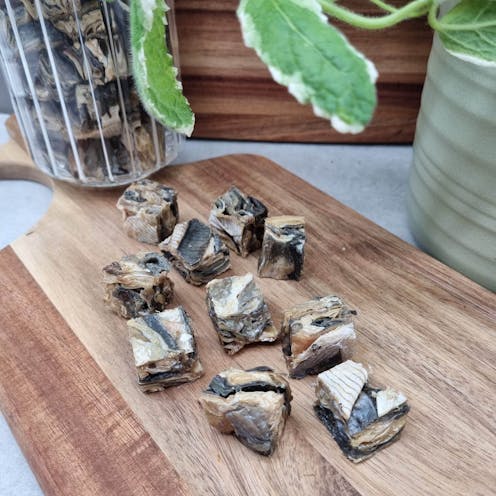 Fish Cubes