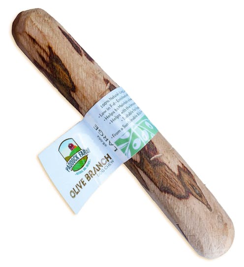 Nova Olive Branch