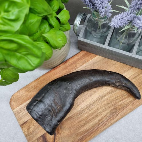 Buffalo Horn