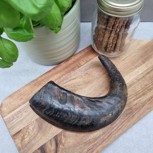 Buffalo Horn