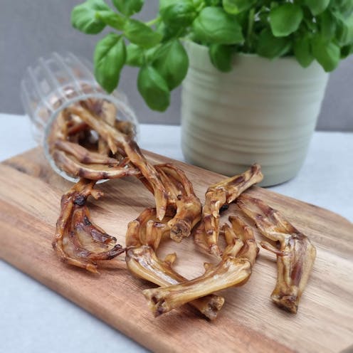 Duck Feet